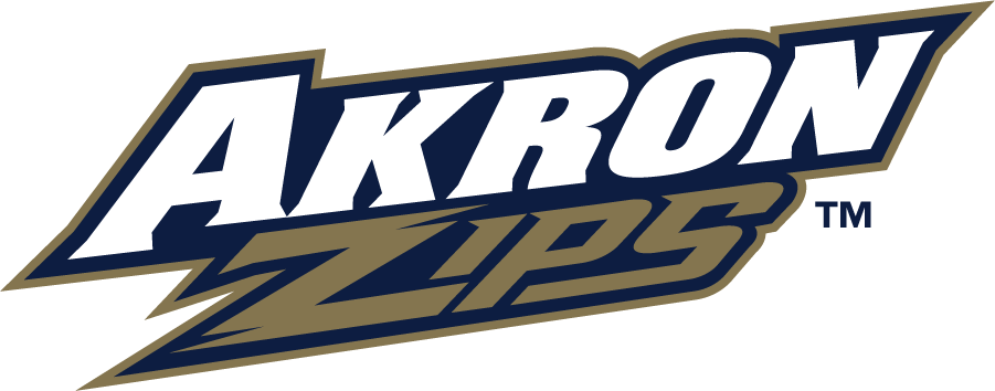 Akron Zips 2008-2018 Wordmark Logo diy iron on heat transfer